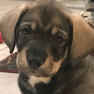 Meet your Posher, Andrea